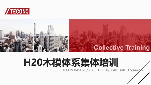 H20木模体系集体培训