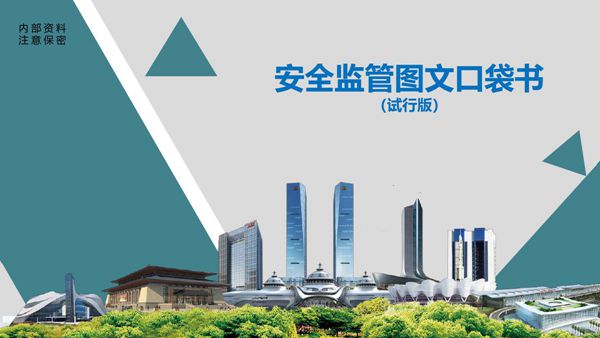 项目总带着房建市政安全监管图文口袋书进工地(共18章，1000 正误图例)，360度无死角查隐患148页