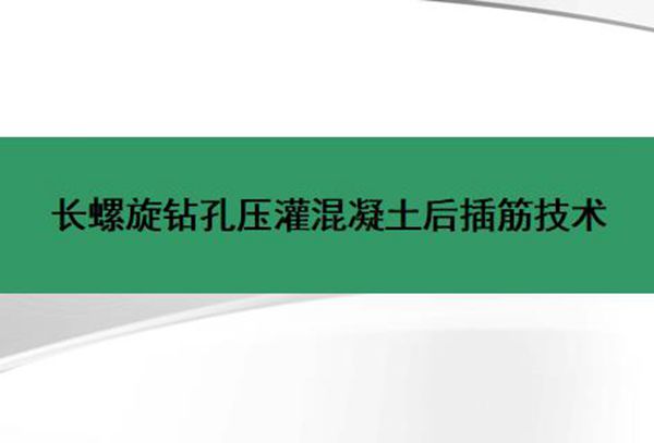 长螺旋钻孔灌注桩后插筋施工技术