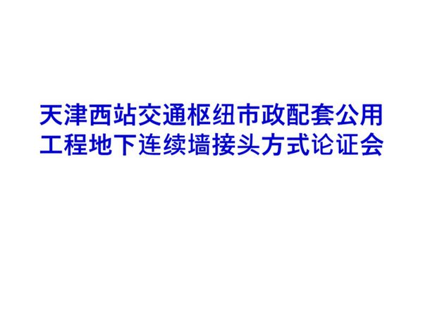 中建地连墙接头专家论证会