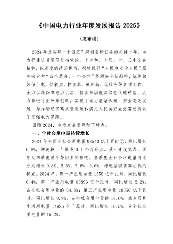 中国电力发展报告2025