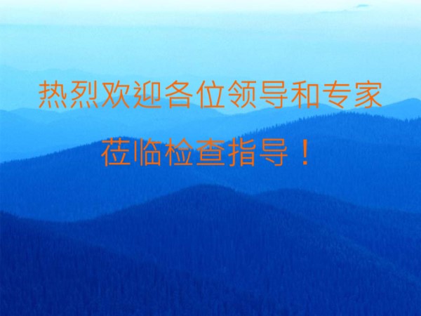 房建工程创建全国文明工地之最情况汇报